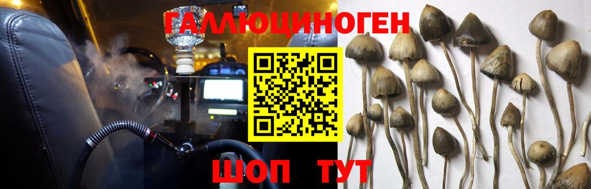 Псилоцибиновые грибы Cubensis  Галлюциногенные грибы прущие грибы  Рыбинск  Вход с VPN 